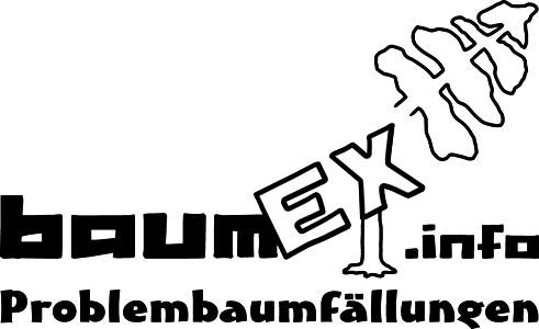 index.html